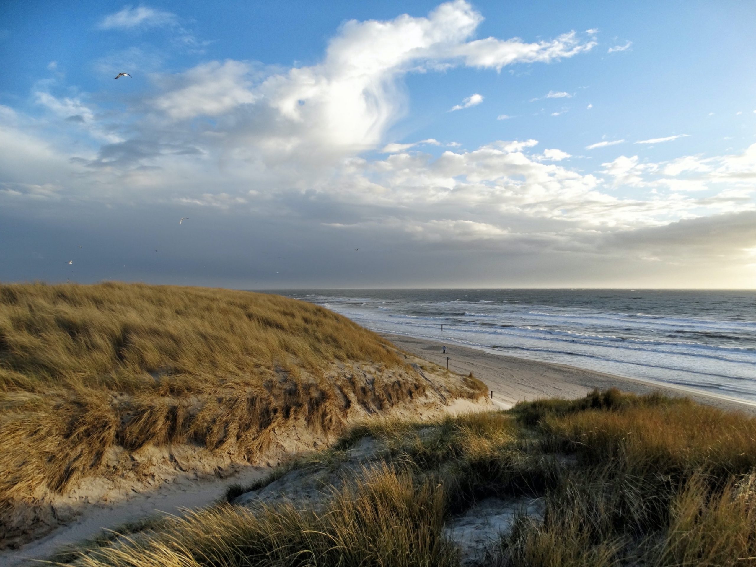 De Rijke Noordzee | Vattenfall